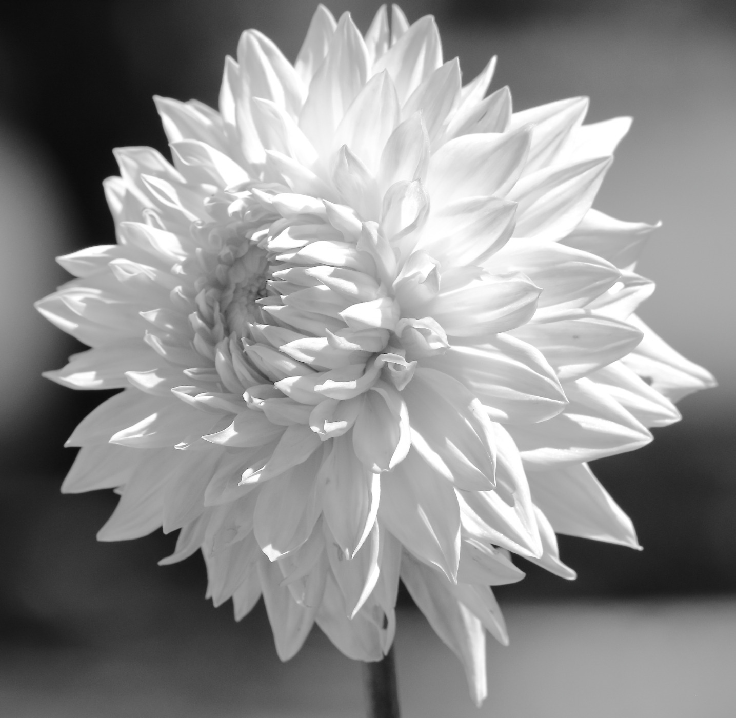 2021 09 04 HTP 50219ebw